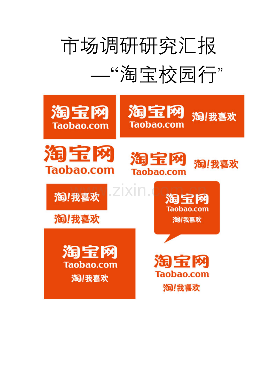 市场调研研究报告淘宝.doc_第1页
