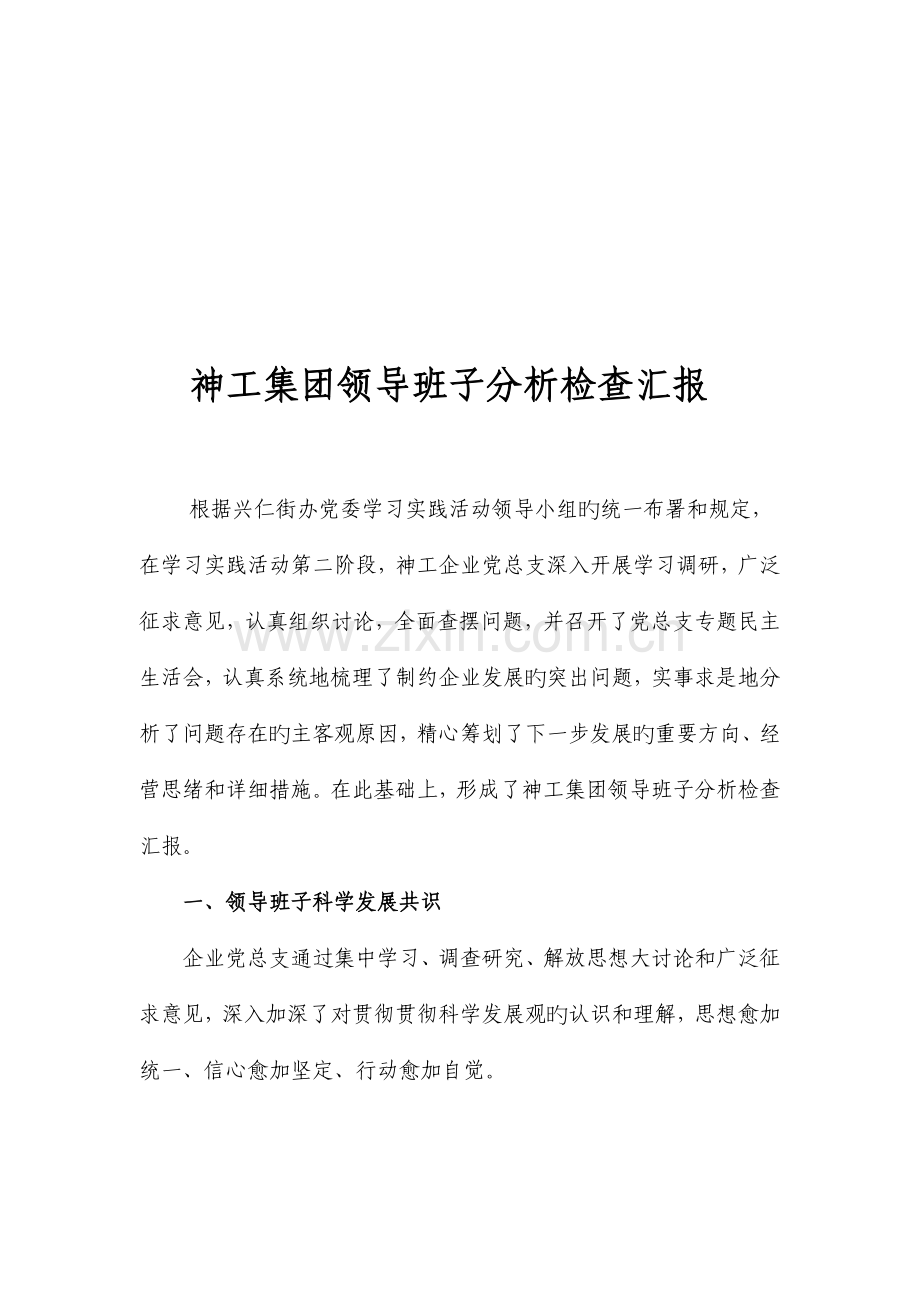 集团领导班子分析检查报告.doc_第1页