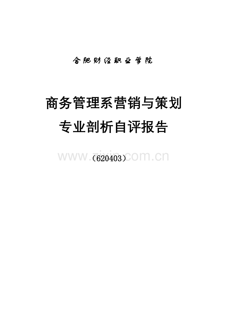 营销与策划剖析报告.doc_第1页