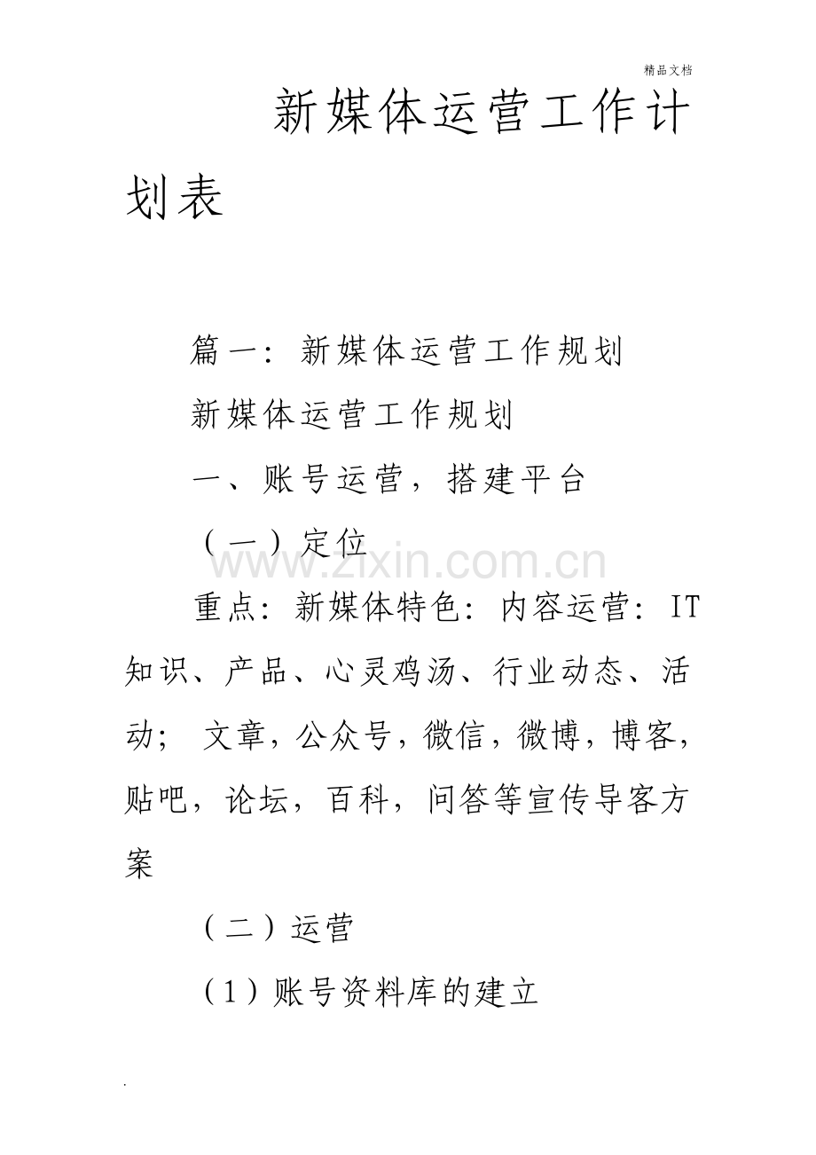 新媒体运营工作计划表.pdf_第1页