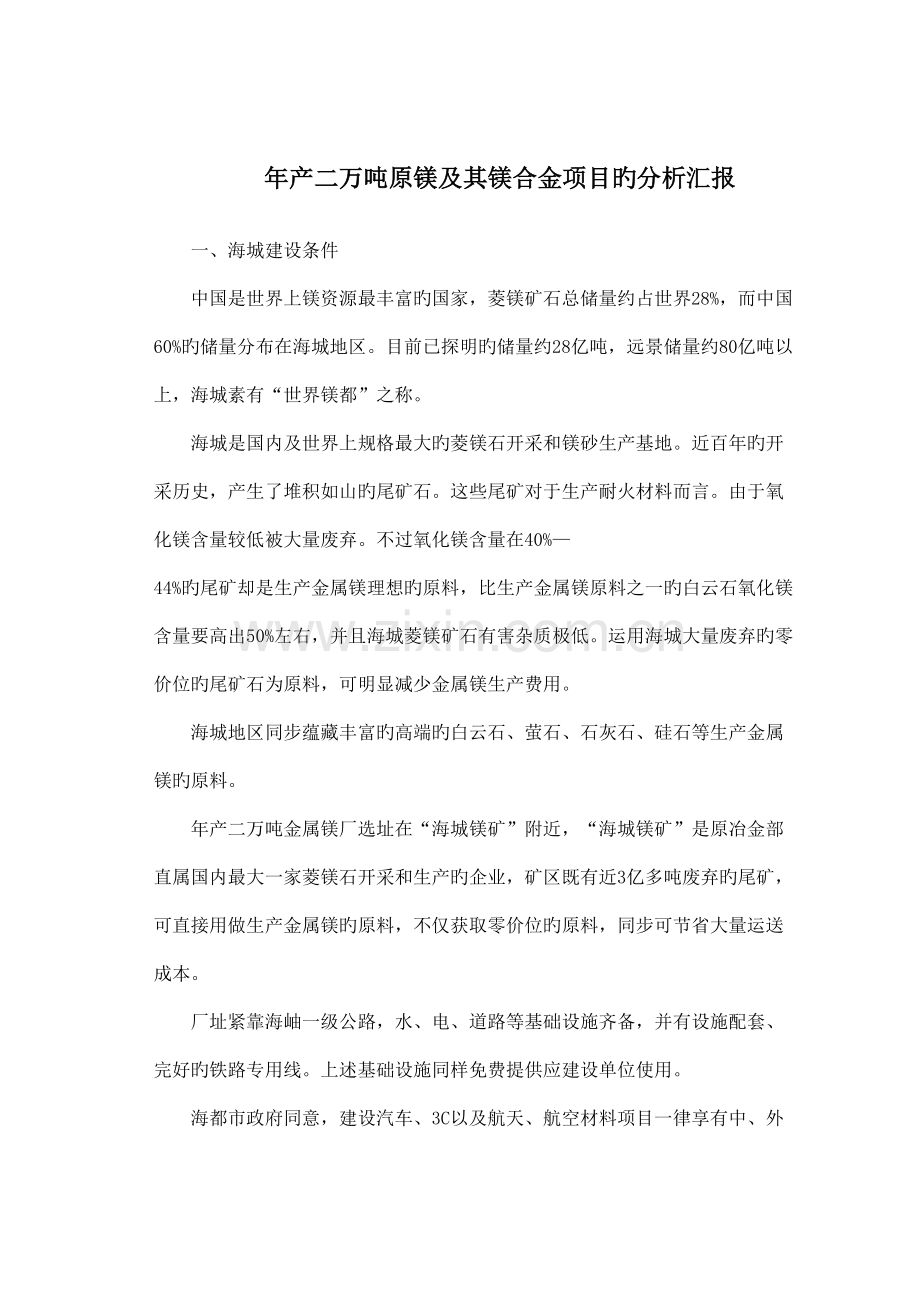 年产二万吨原镁及镁合金项目分析报告.doc_第1页
