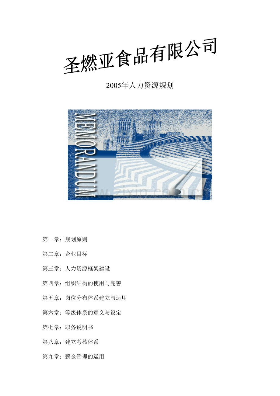 圣燃亚年人力资源规划.doc_第1页