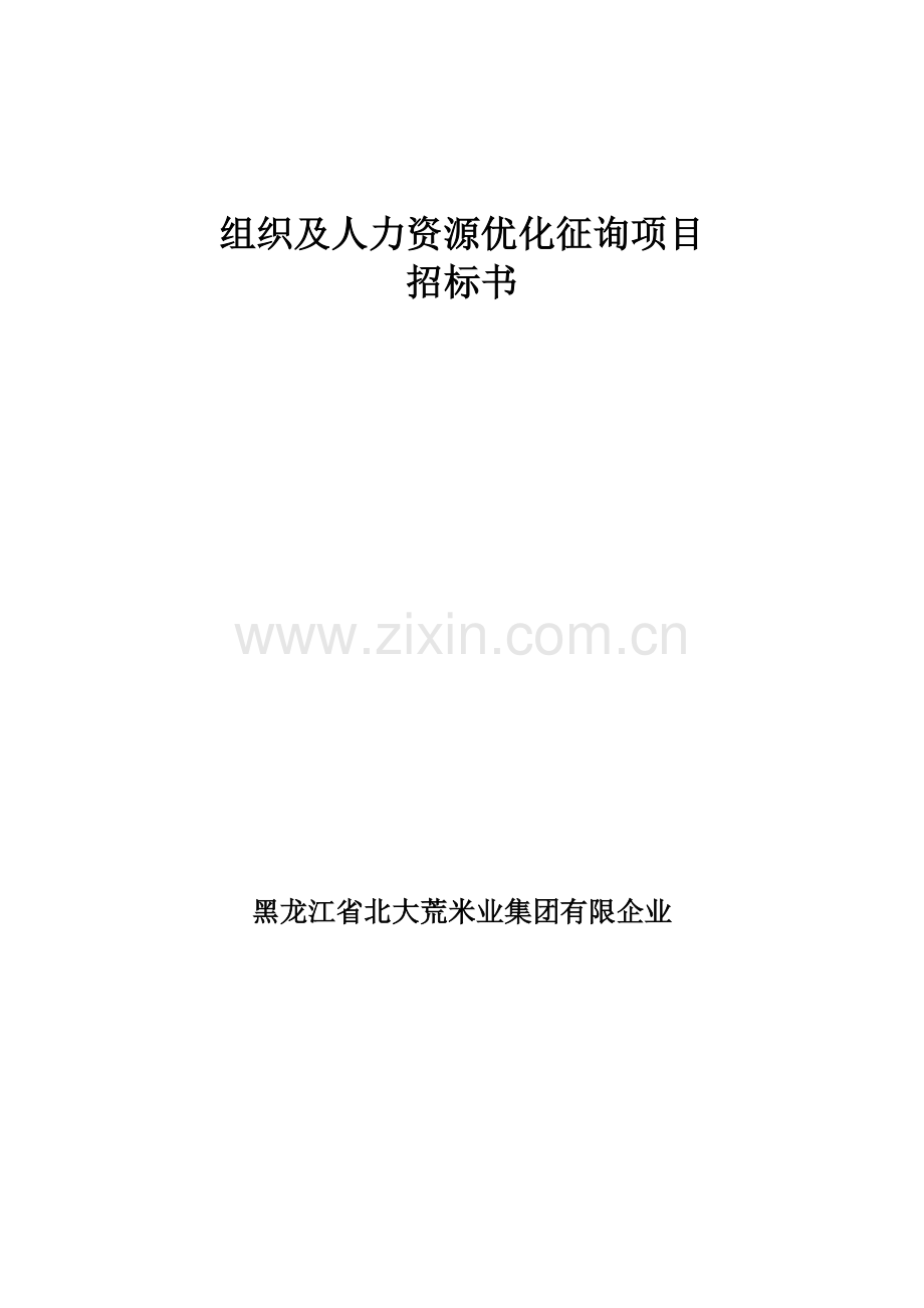 组织及人力资源优化咨询项目.doc_第1页