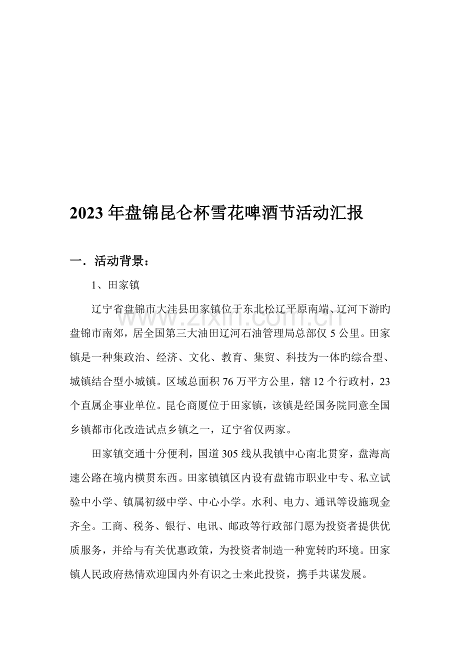啤酒节活动方案报告.doc_第1页