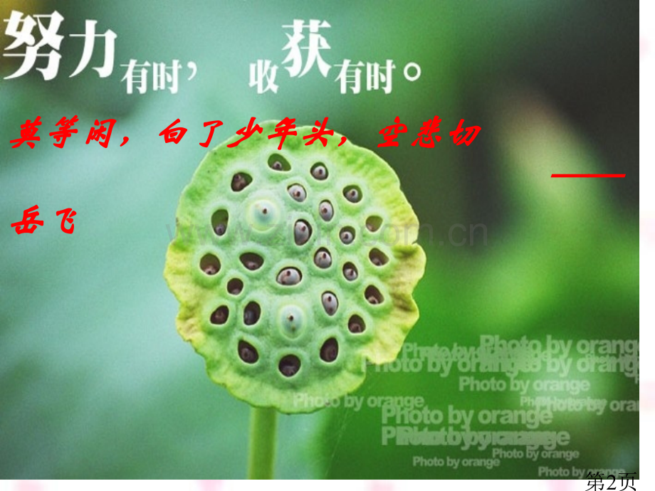 高三化学一轮复习氧族元素名师优质课获奖市赛课一等奖课件.ppt_第2页