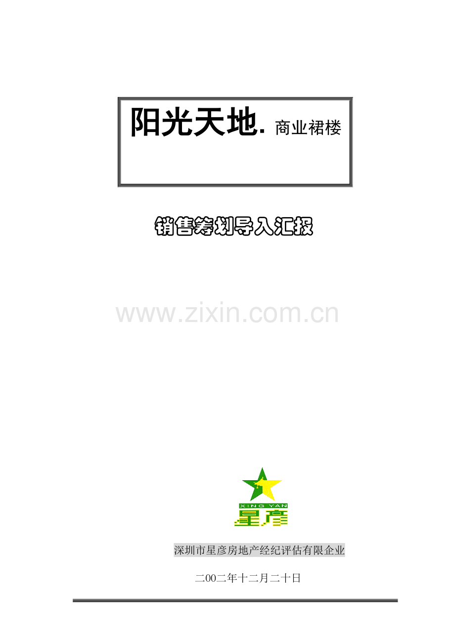 销售策划导入报告.doc_第1页