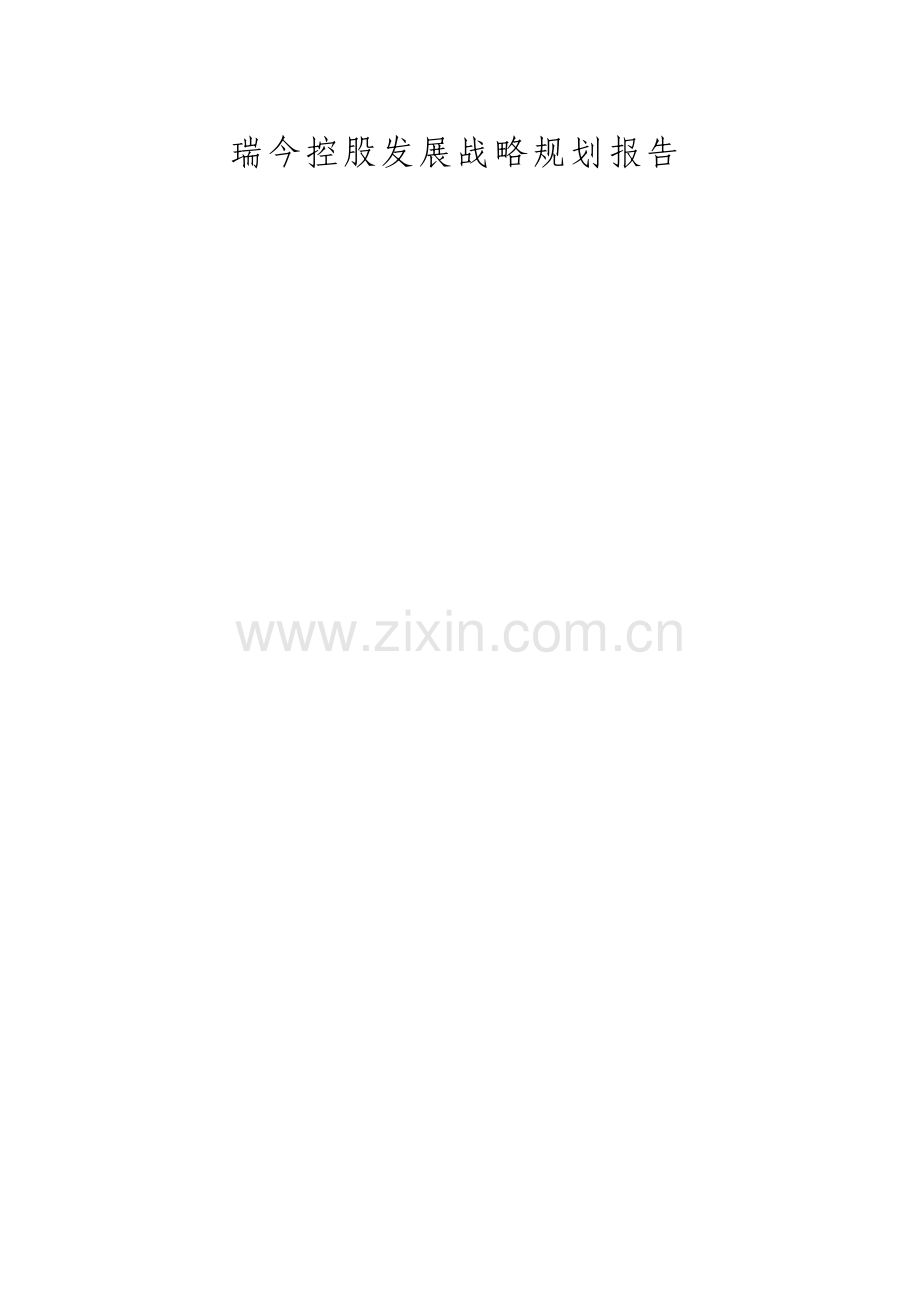 控股发展战略规划报告.pdf_第1页