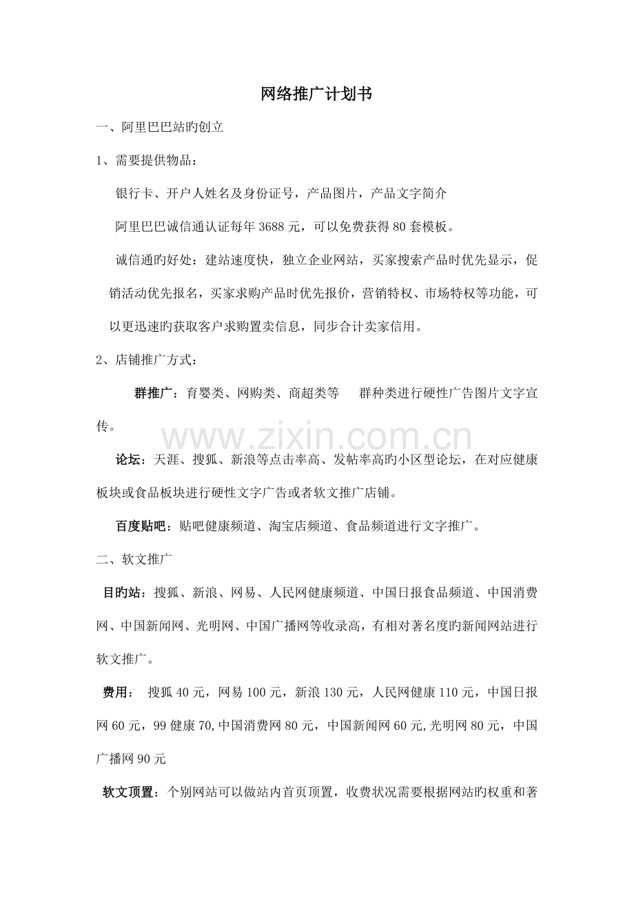 新版网络推广计划书.doc_第1页