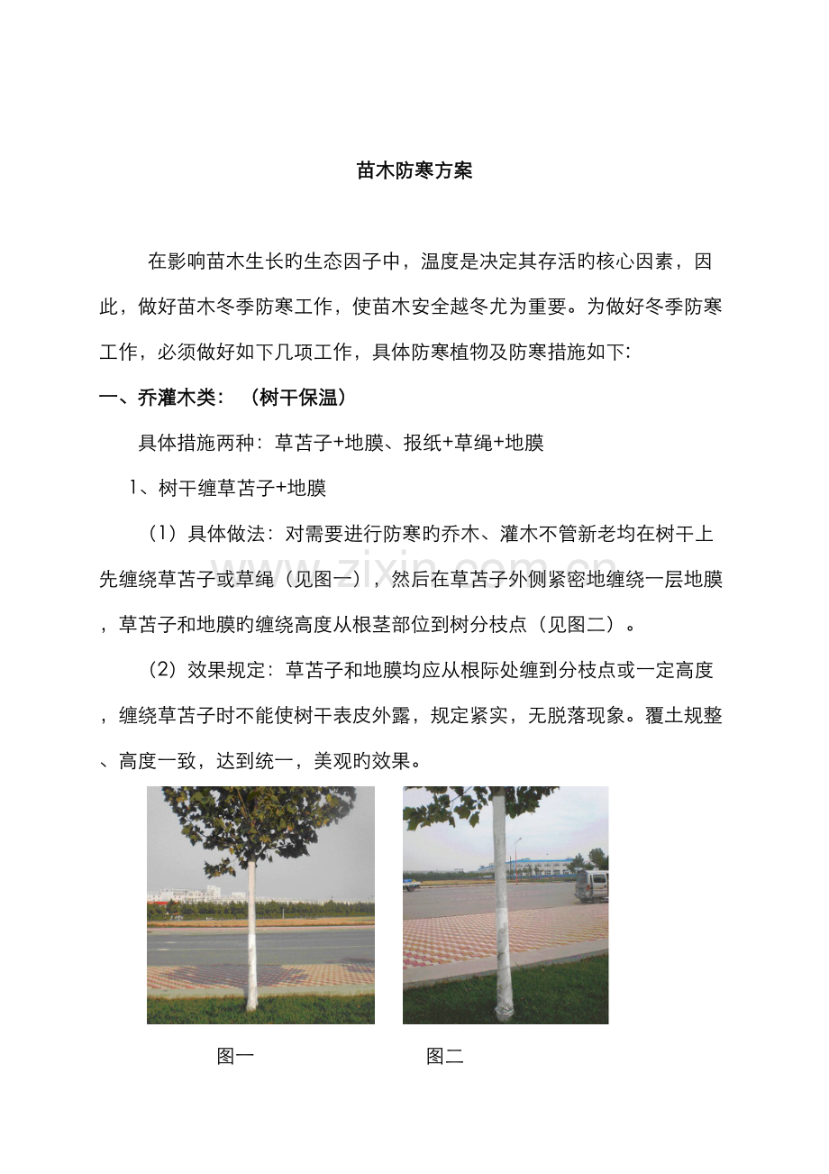 苗木防寒规范.docx_第1页