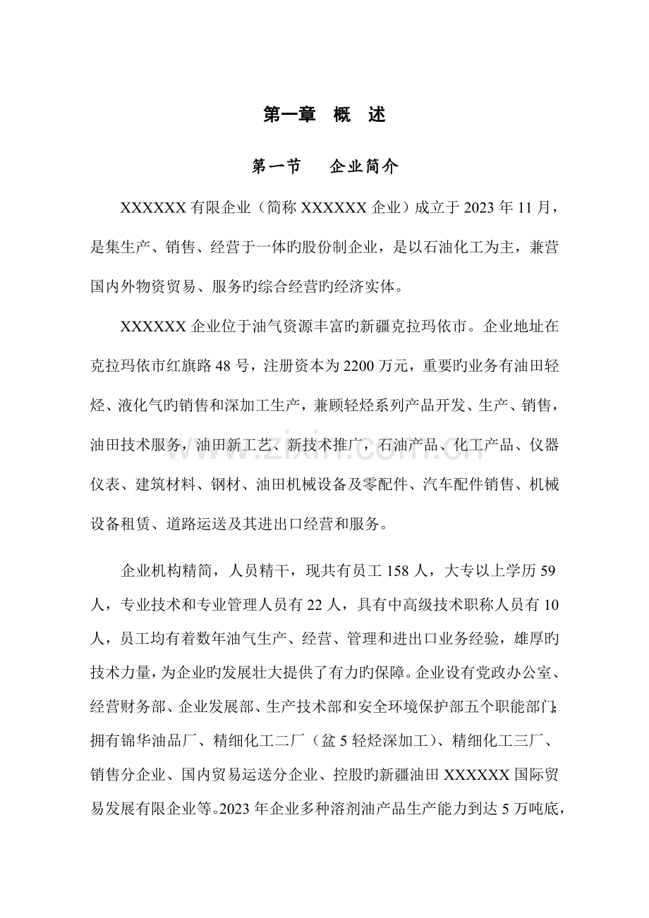 公司安全评价报告.doc_第1页
