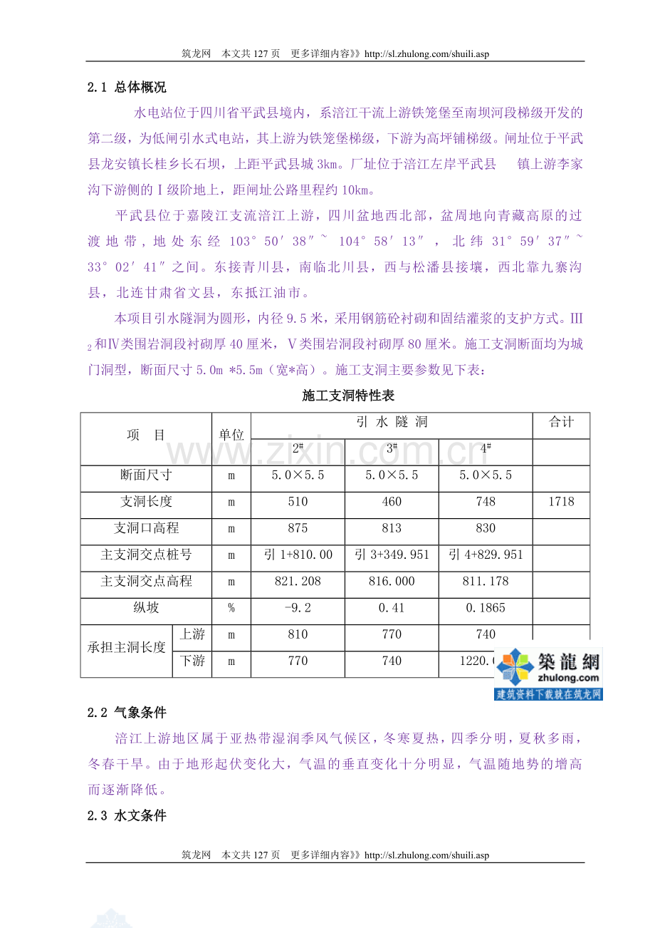 [四川]水电站引水隧洞工程施工组织设计.doc_第2页