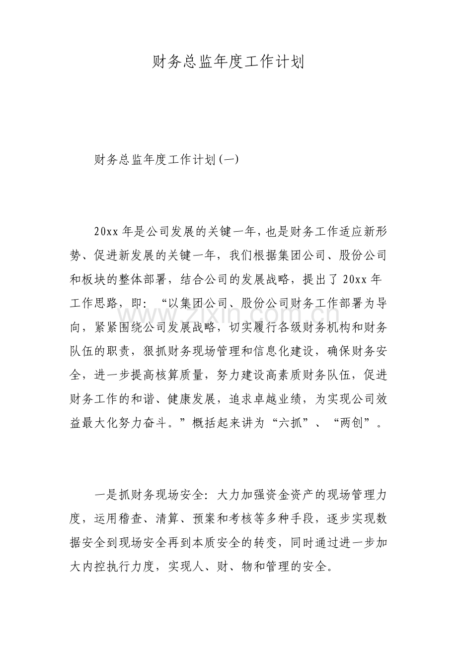 财务总监年度工作计划.pdf_第1页