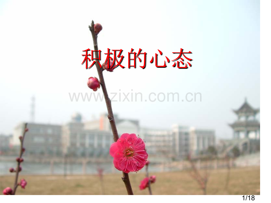 积极的心态--成功的一半主题班会课件省名师优质课赛课获奖课件市赛课百校联赛优质课一等奖课件.ppt_第1页