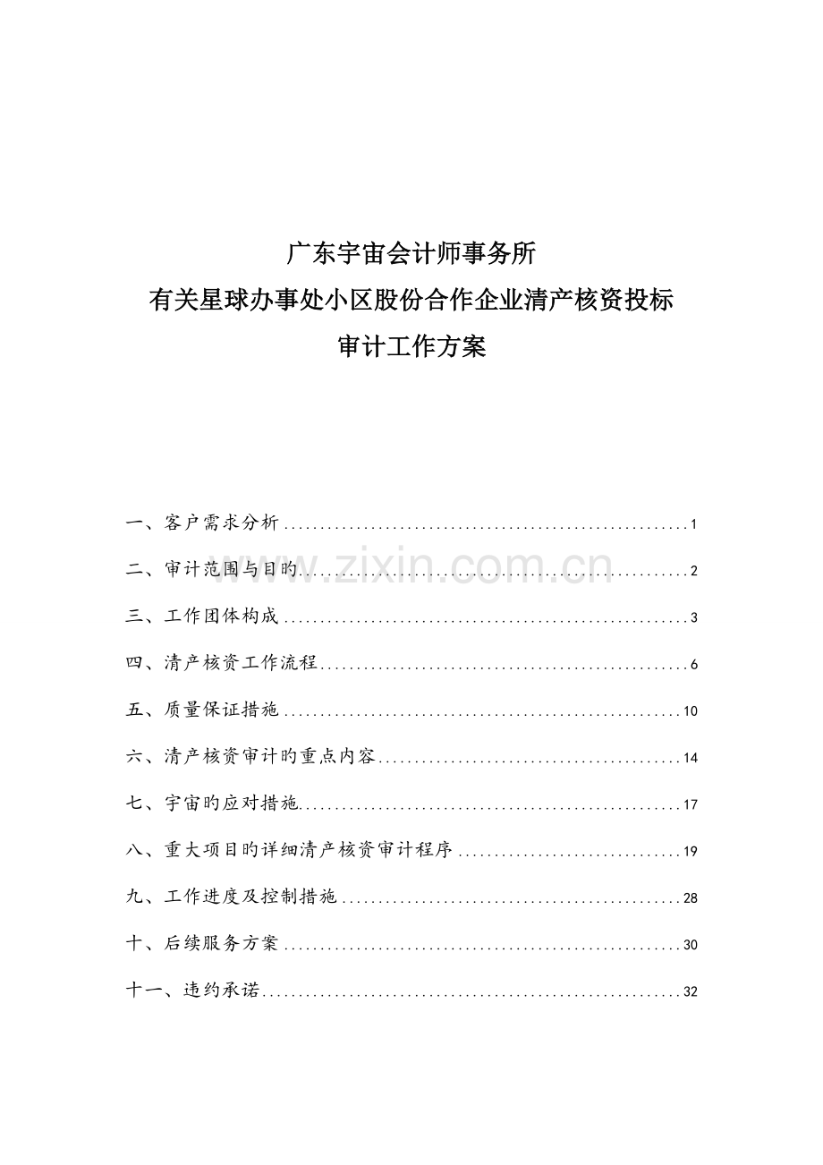 清产核资投标用审计工作方案.doc_第1页