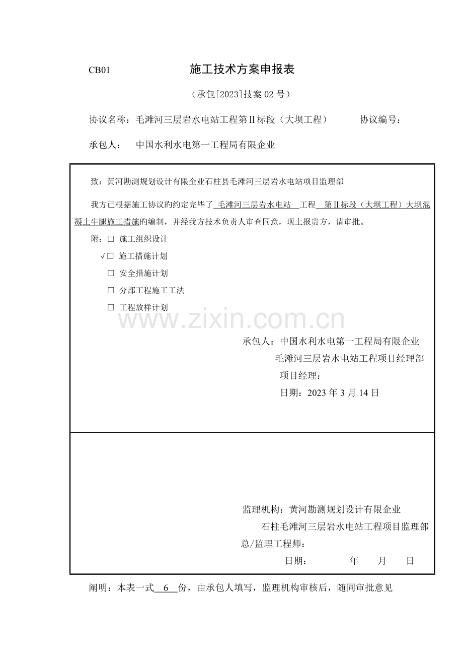 大坝牛腿施工专项技术方案.doc_第1页