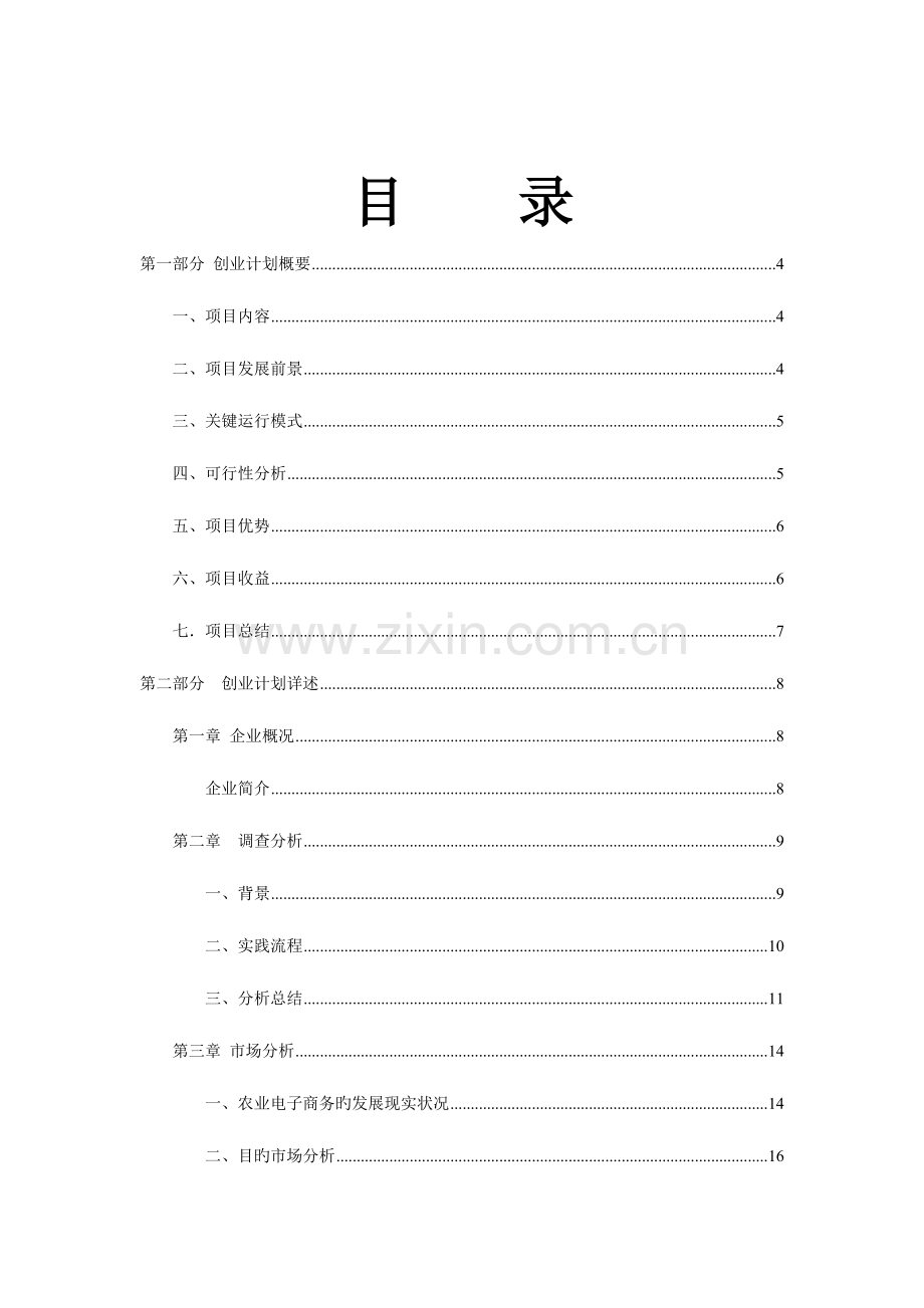 农业项目电子商务公司创业计划书.doc_第2页