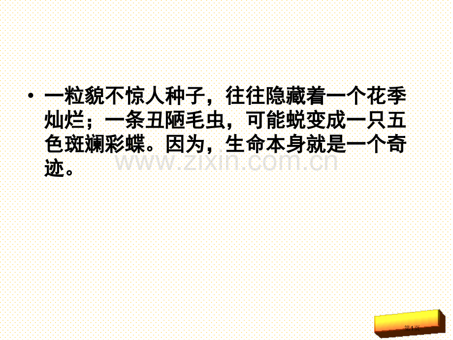 第十九课生命生命市名师优质课比赛一等奖市公开课获奖课件.pptx_第1页
