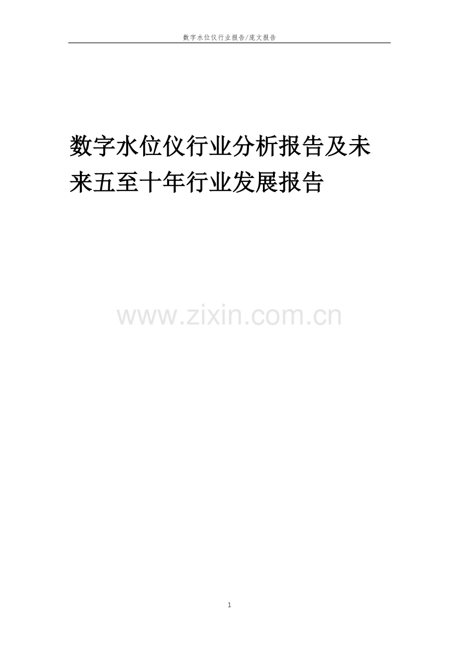 2023年数字水位仪行业分析报告及未来五至十年行业发展报告.docx_第1页