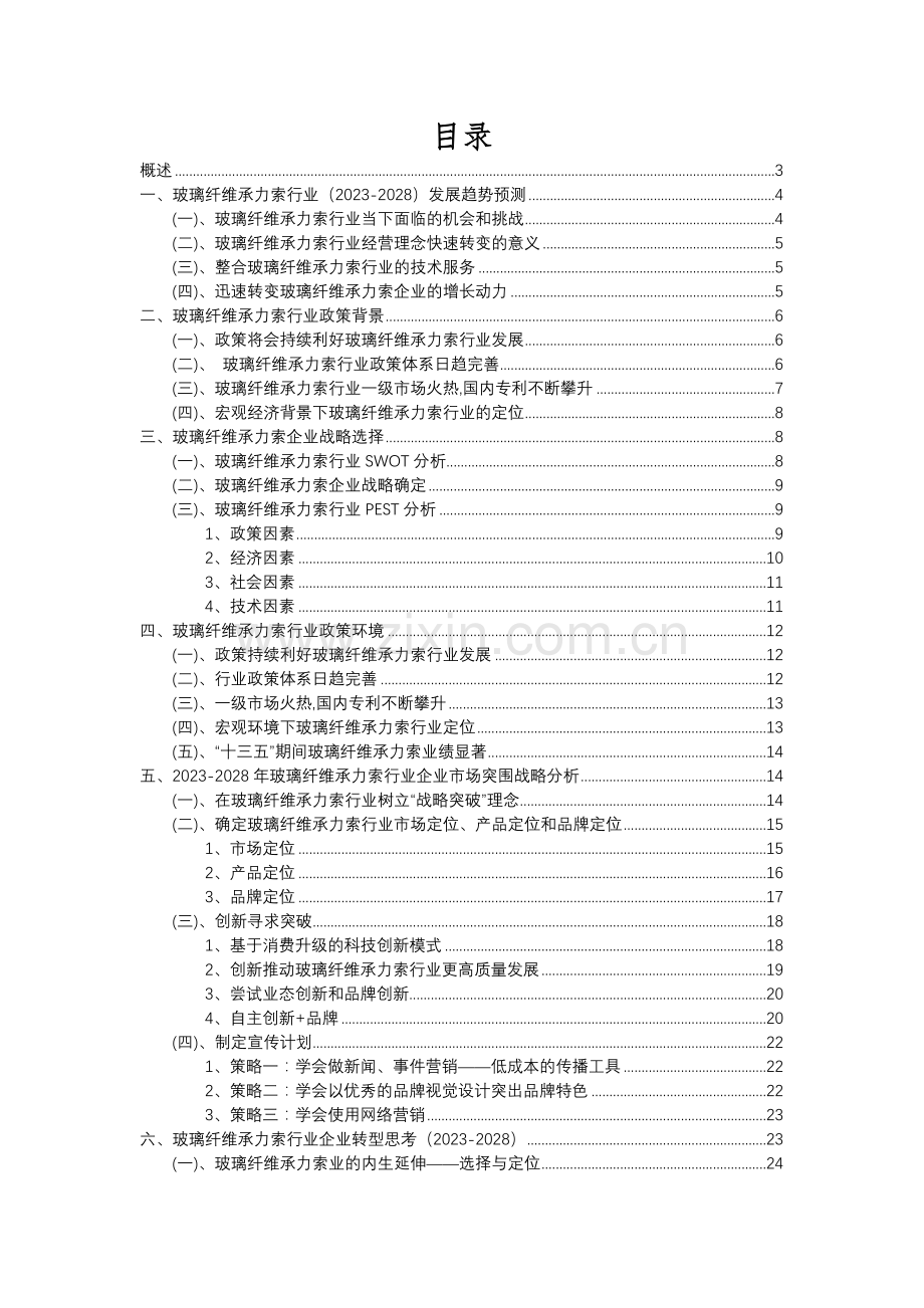 2023年玻璃纤维承力索行业洞察报告及未来五至十年预测分析报告.docx_第2页