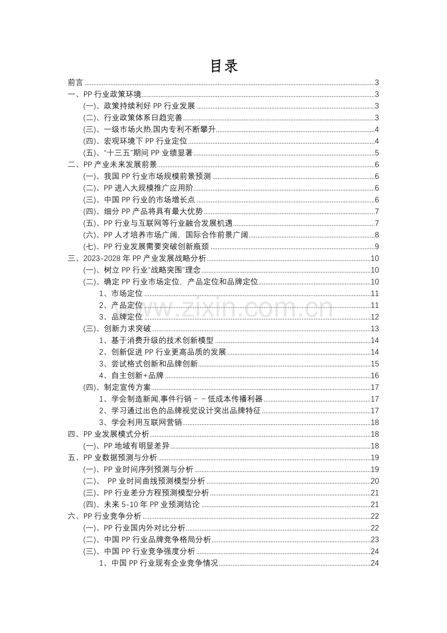 2023年PP行业市场突围建议及需求分析报告.docx_第2页