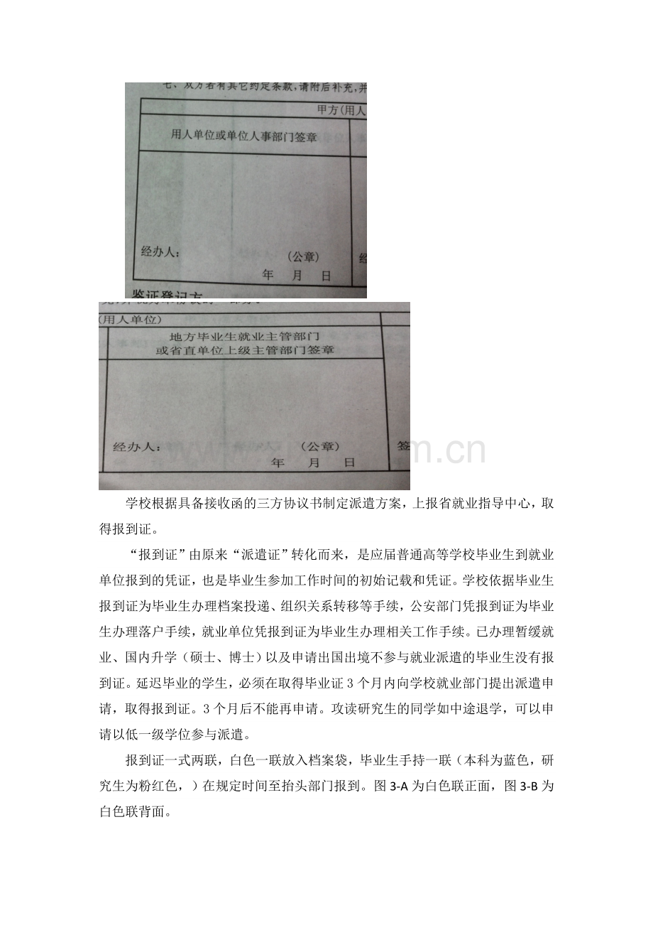 三方协议书、接收函以及报到证的说明.docx_第2页