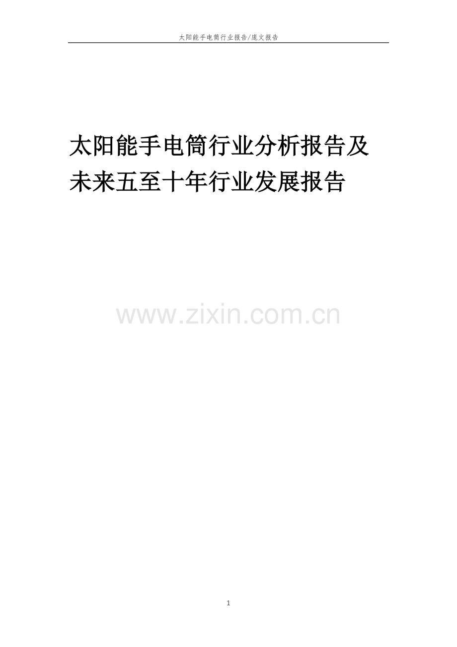 2023年太阳能手电筒行业分析报告及未来五至十年行业发展报告.doc_第1页