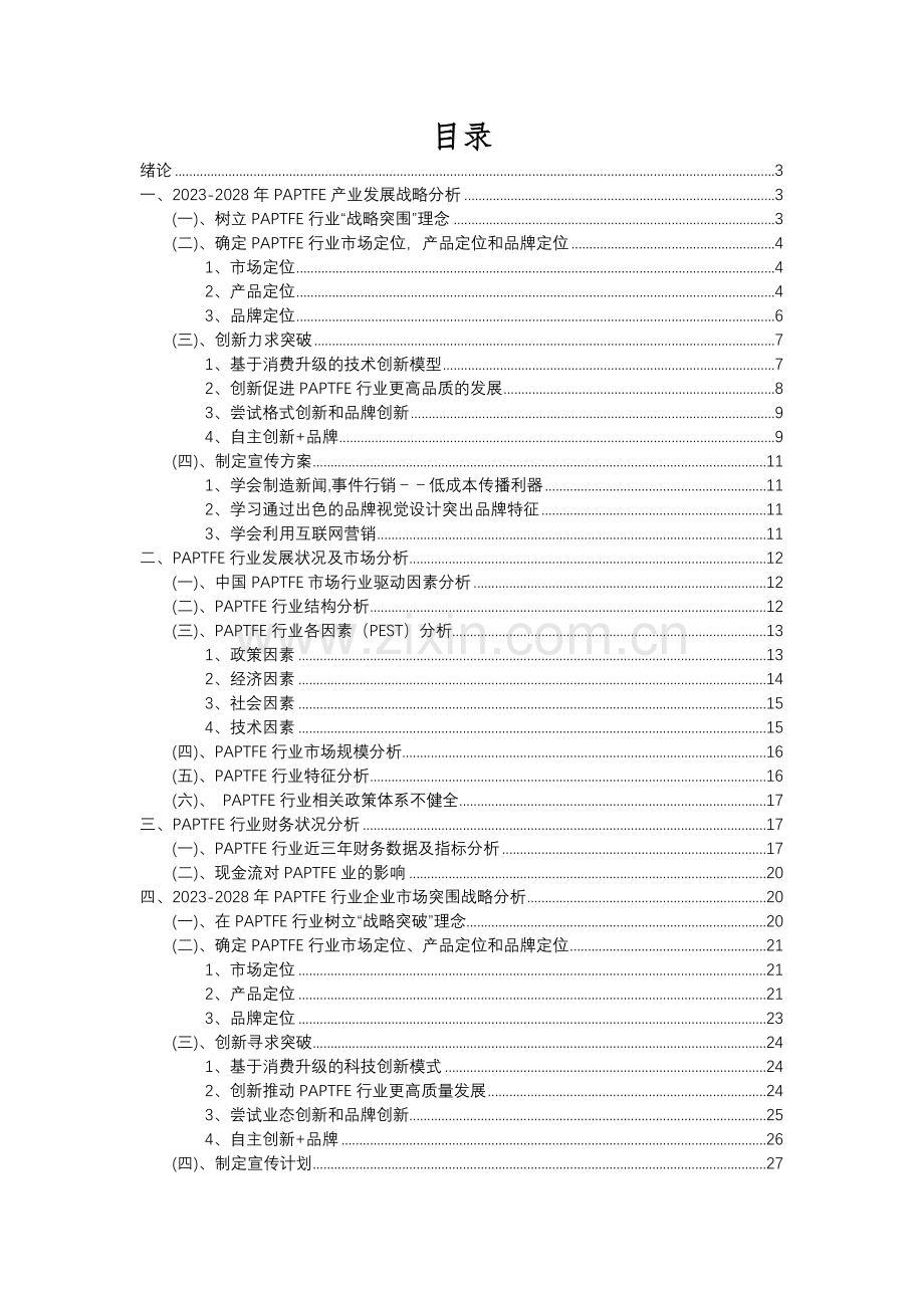 2023年PAPTFE行业市场突围建议及需求分析报告.docx_第2页