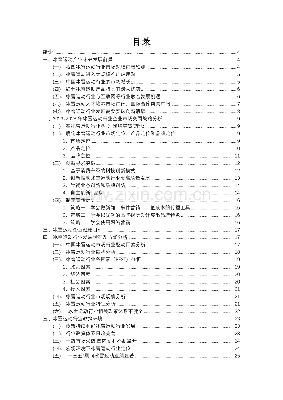 2023年冰雪运动行业市场需求分析报告及未来五至十年行业预测报告.docx_第2页