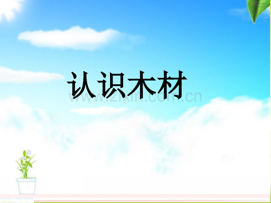 认识木材.pptx_第1页