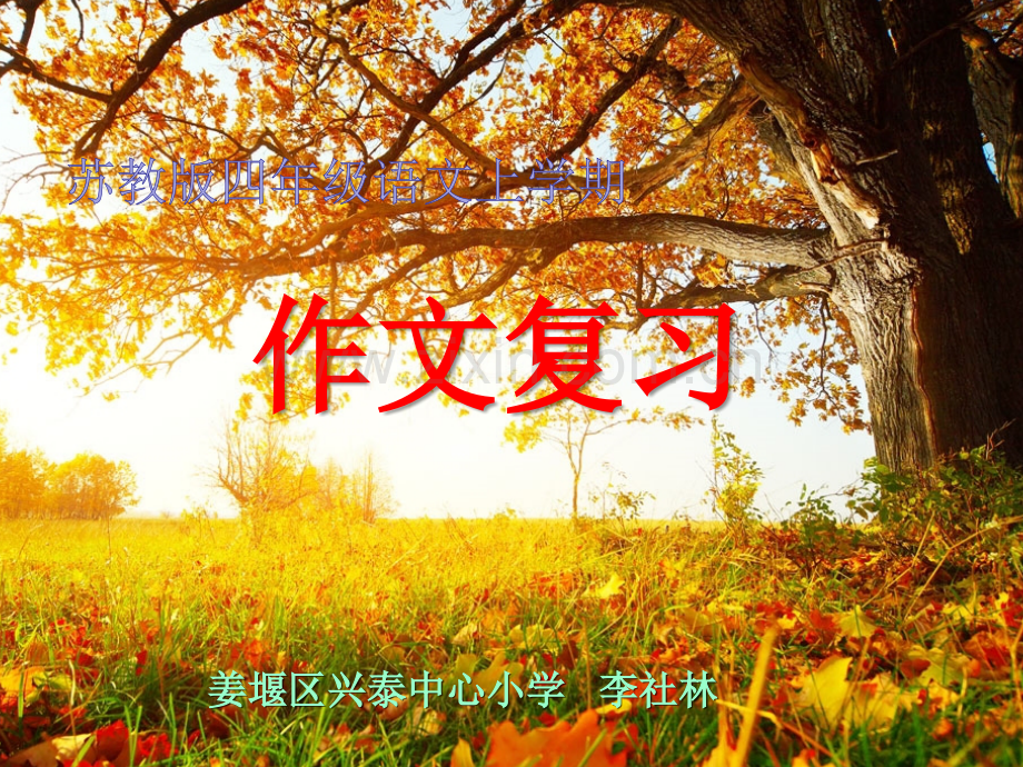 苏教版小学四年级上册作文总复习.pptx_第1页