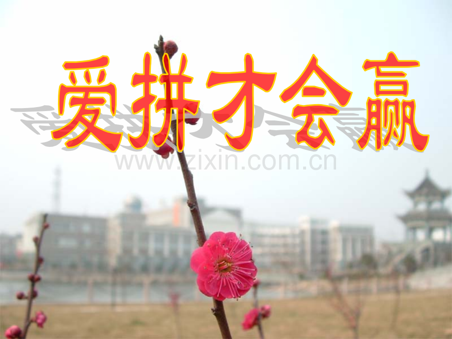 班会爱拼才会赢演示.pptx_第1页