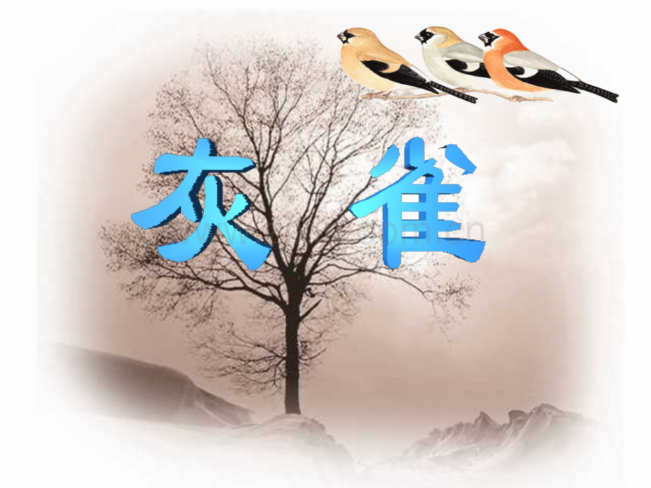 灰雀PPT课件.pptx_第2页