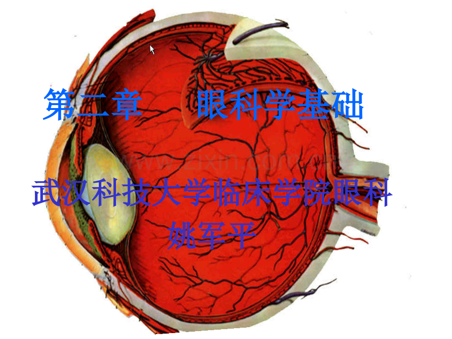 眼科学基础本科.pptx_第1页