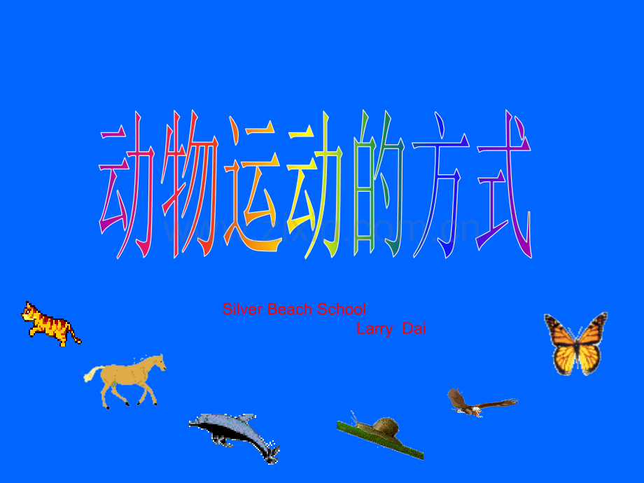 时动物运动的方式分解.pptx_第1页