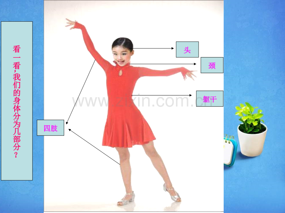 认识我们的身体-学科信息：体育-人教版-一年级全一册.pptx_第2页