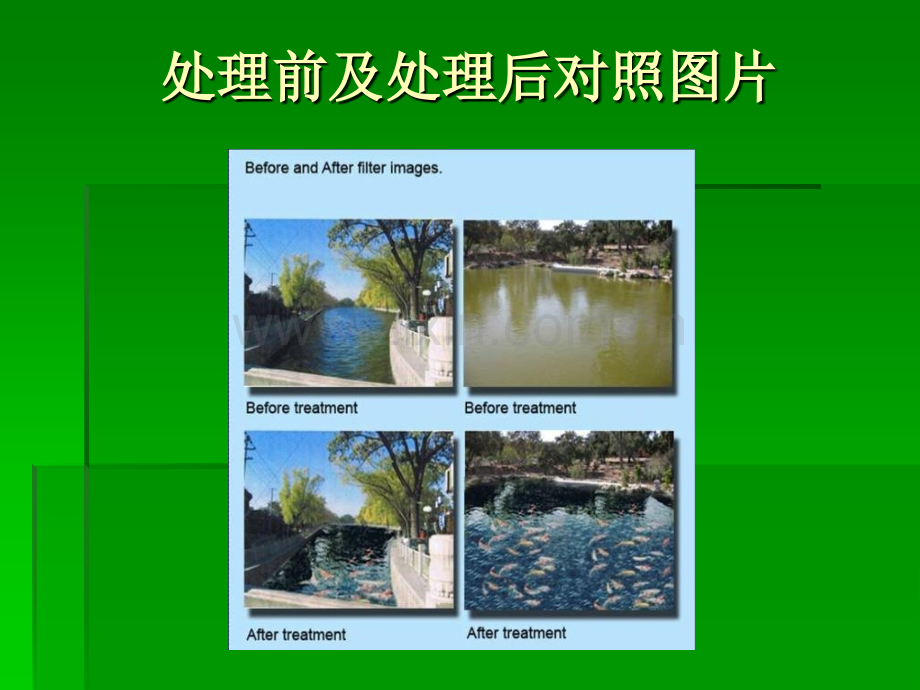 生态生物水处理系统商业计划书.pptx_第1页