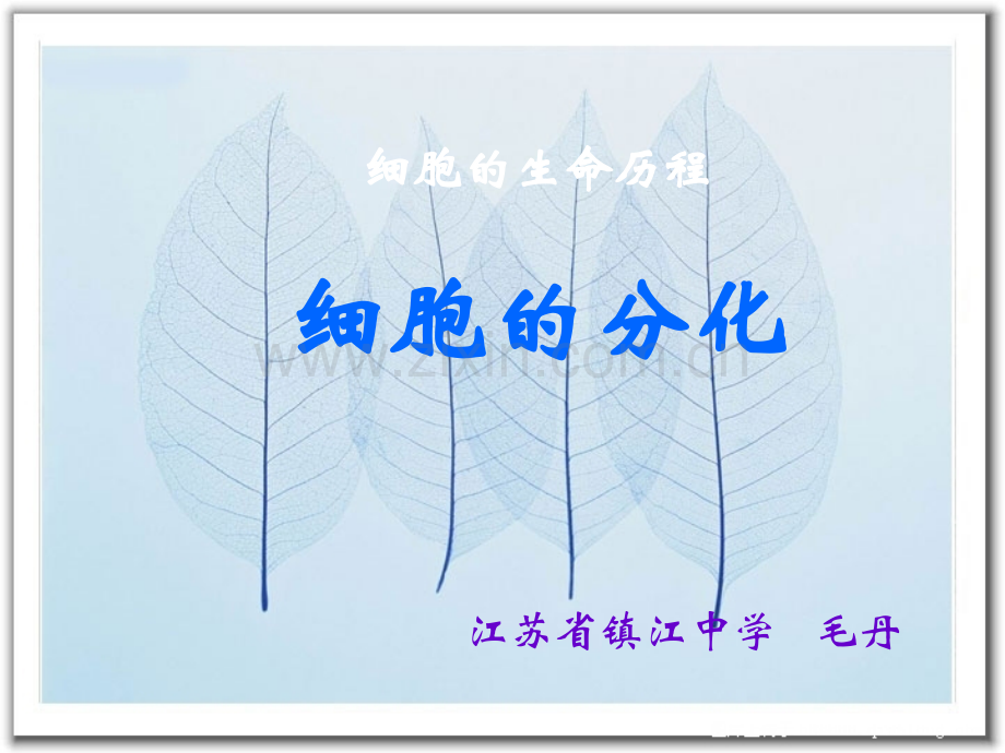 细胞的生命历程——细胞分化.pptx_第1页