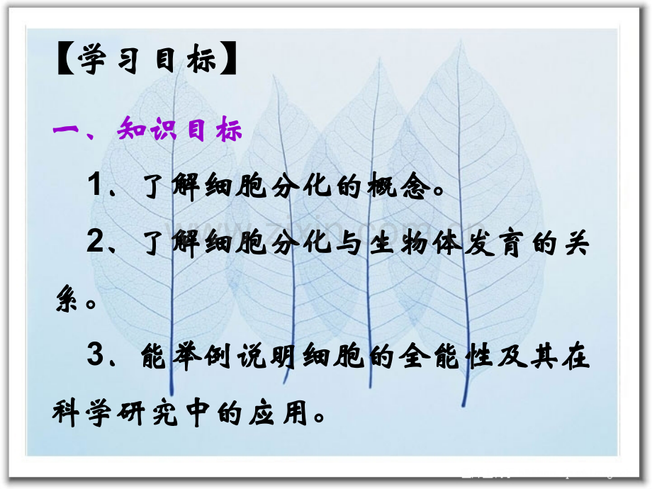 细胞的生命历程——细胞分化.pptx_第2页