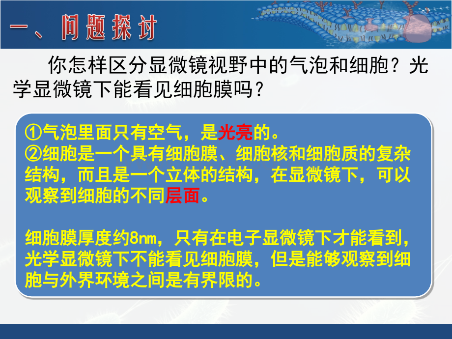 系统的边界细胞膜.pptx_第1页