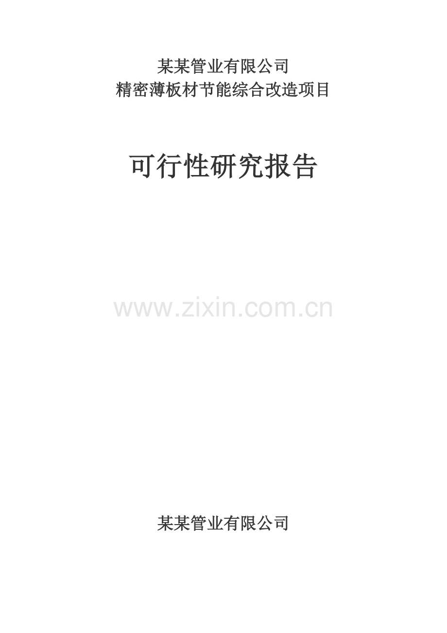 精密薄板材建设节能综合项目可行性研究报告(优秀可行性研究报告).doc_第1页
