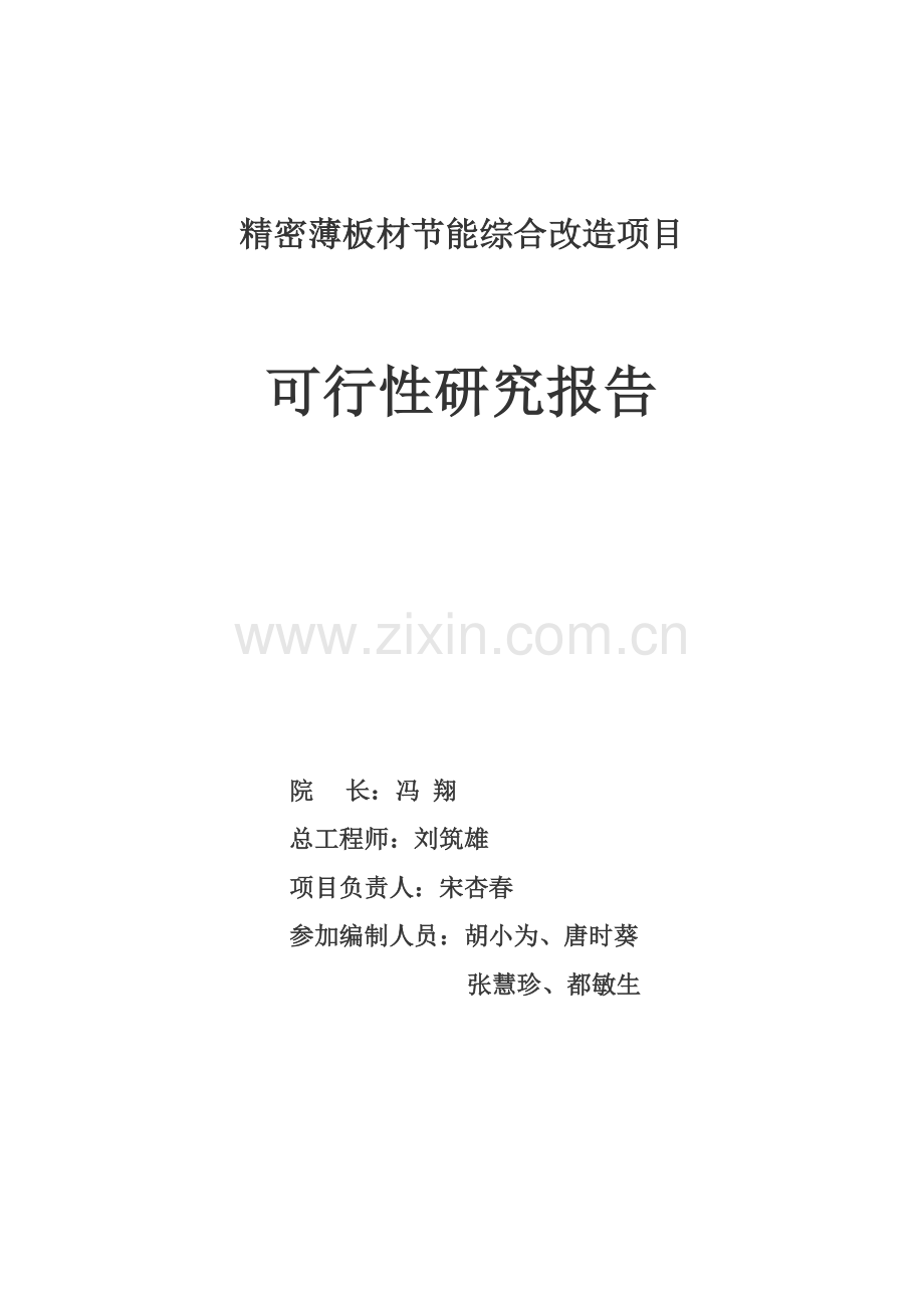 精密薄板材建设节能综合项目可行性研究报告(优秀可行性研究报告).doc_第2页