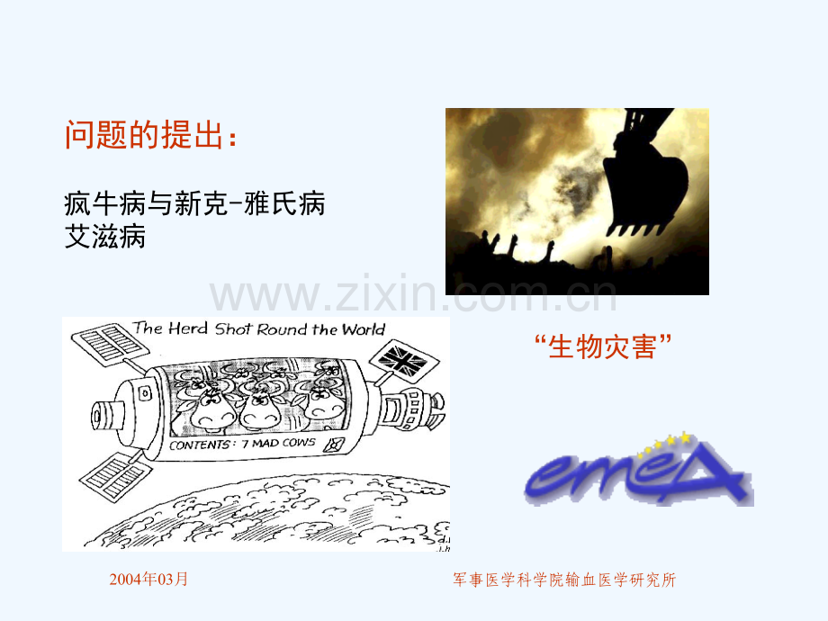 牛源制品病毒安全性检测.pptx_第1页
