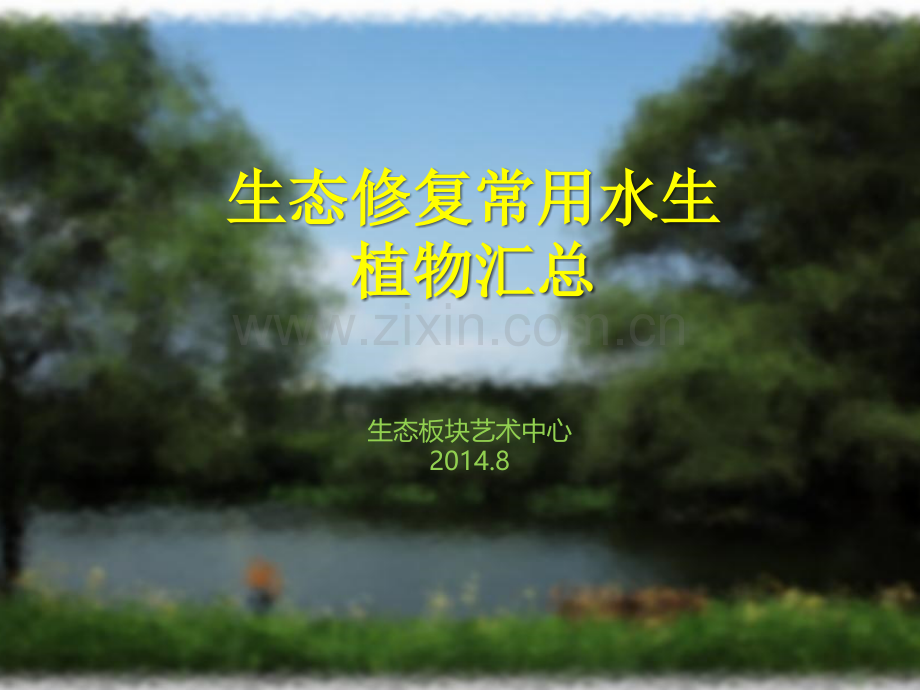 生态修复常用水生植物汇总.pptx_第1页