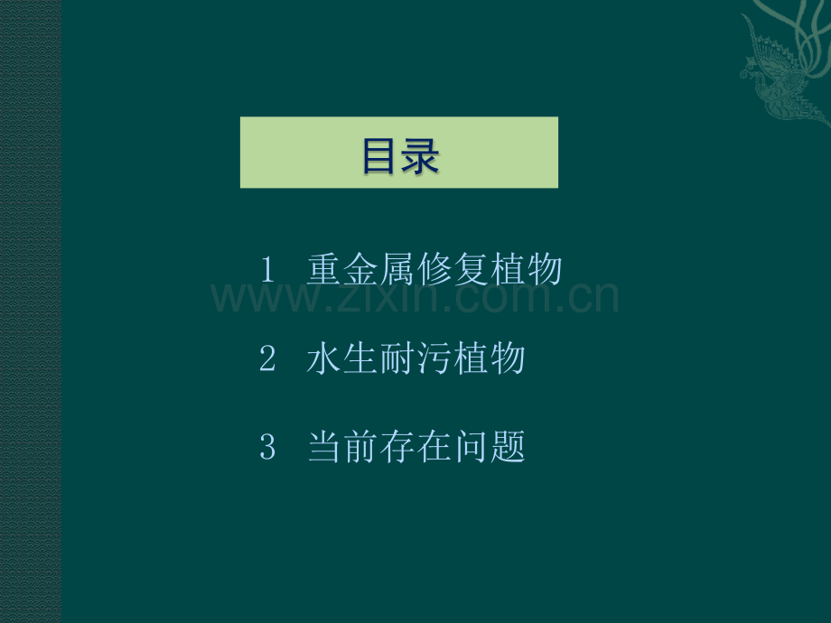 生态修复常用水生植物汇总.pptx_第2页
