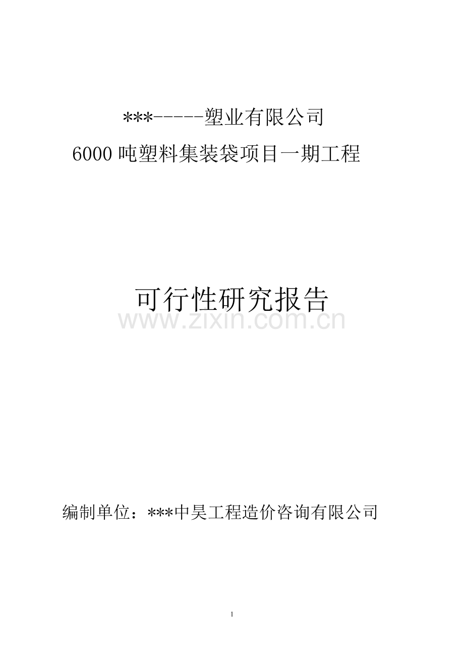 塑料集装袋篷布项目可行性报告.doc_第1页