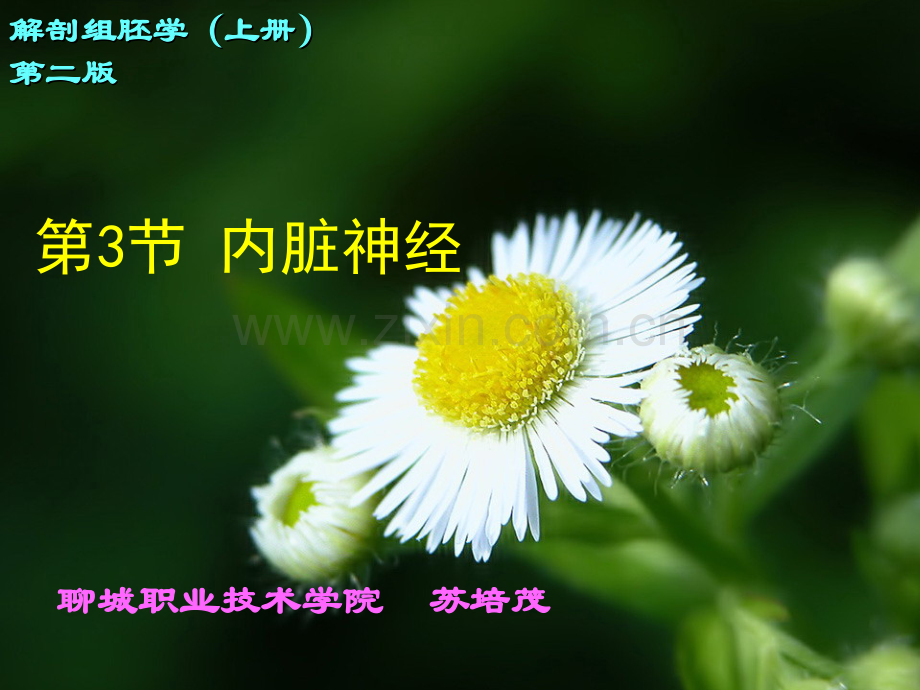 第5篇神经系统内脏神经.pptx_第1页