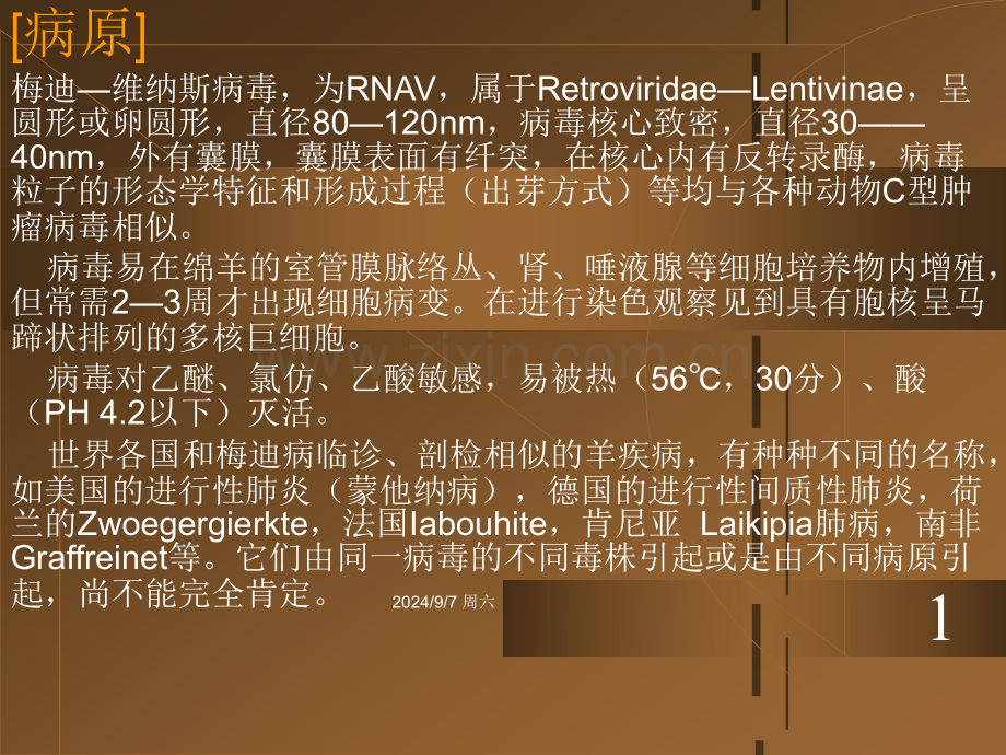 梅迪——维斯纳病.pptx_第2页
