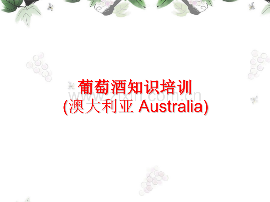 澳洲葡萄酒知识分析.pptx_第1页