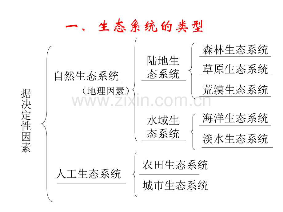 生态系统复习课45节.pptx_第2页
