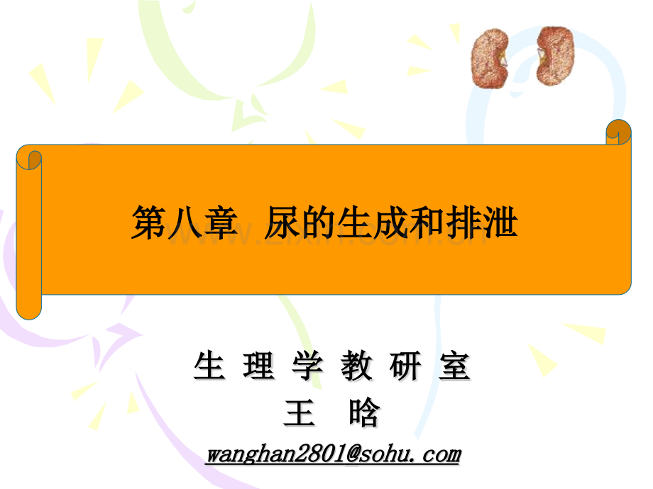 第7版生理学肾脏.pptx_第1页